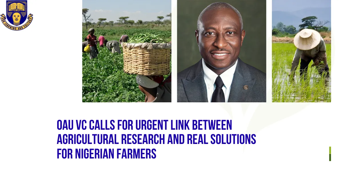 OAU VC Calls for Urgent Link Between Agricultural Research and Real Solutions for Nigerian Farmers