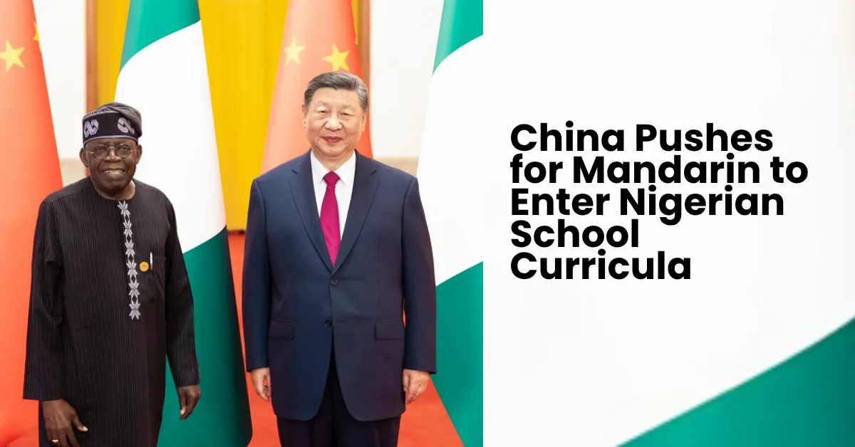 China Pushes for Mandarin to Enter Nigerian School Curricula