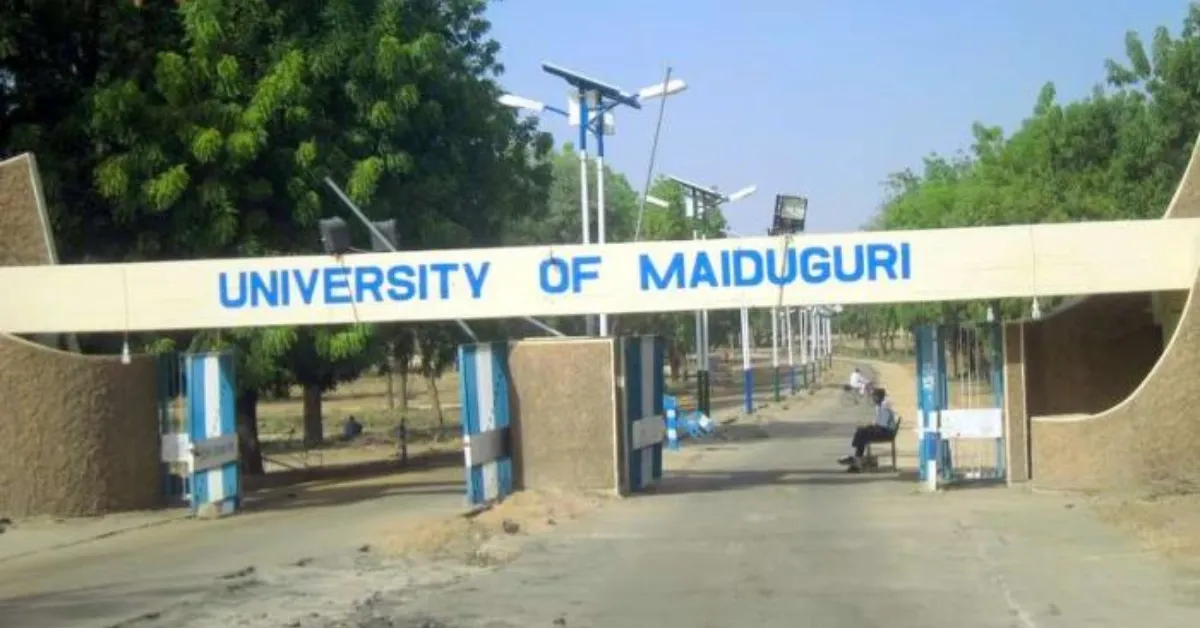 UNIMAID List of Courses and Programmes