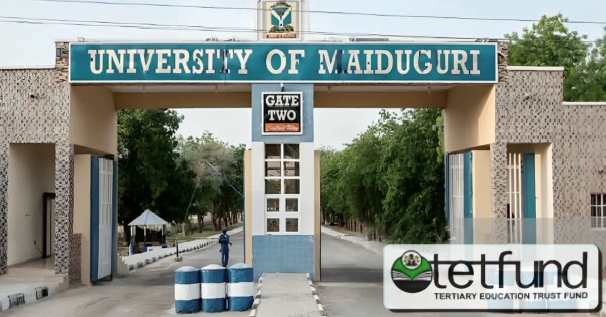 TETFund Reviews University of Maiduguri Centre of Excellence in Supportive Assessment Visit