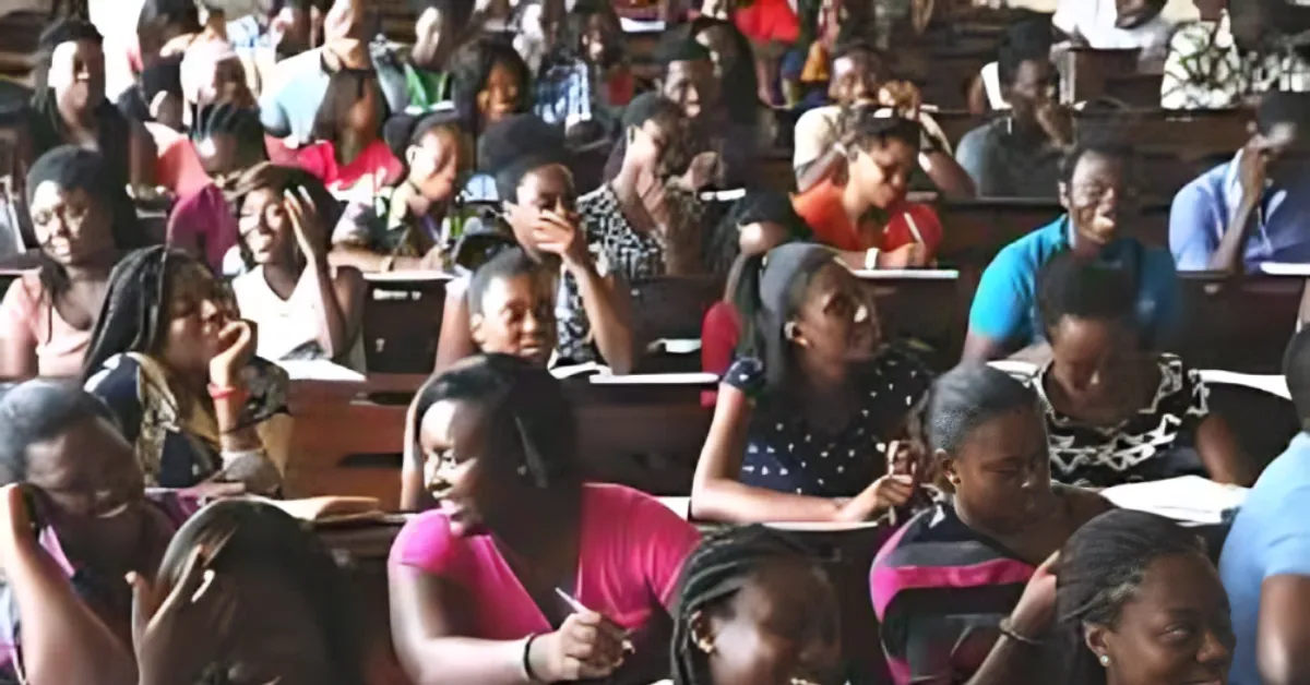 Nigerian Universities to Offer Micro Credentials in AI, Entrepreneurship and Renewable Energy