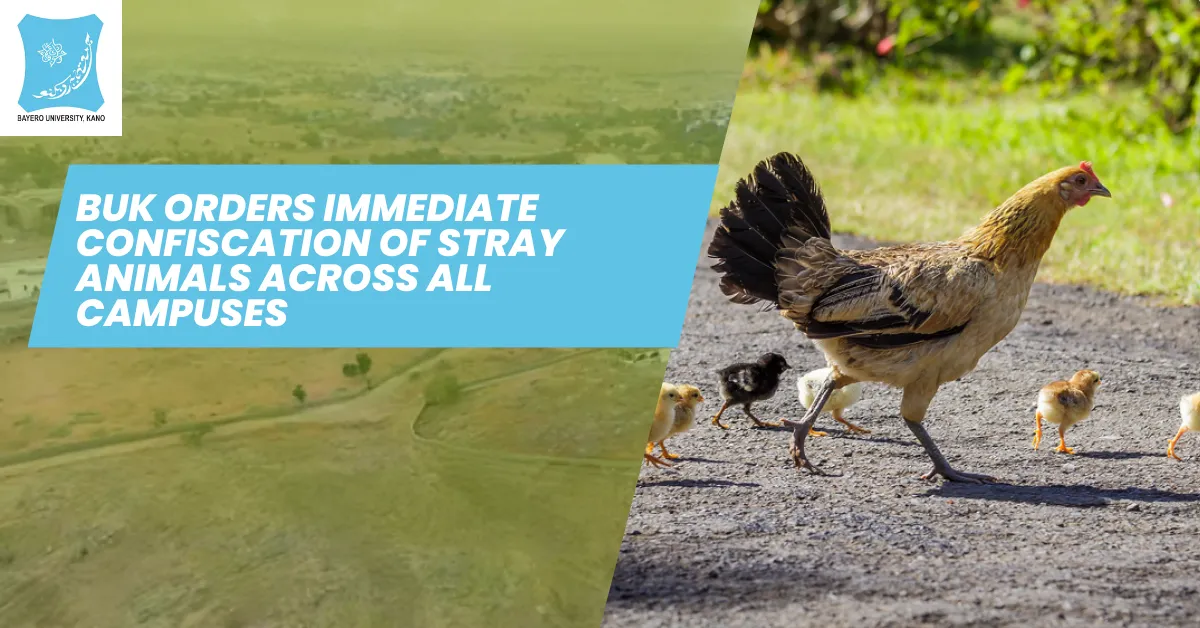 BUK Orders Immediate Confiscation of Stray Animals Across All Campuses